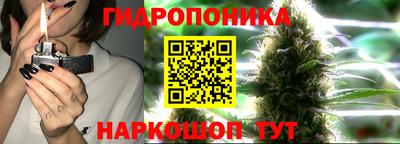ALPHA PVP Кинель